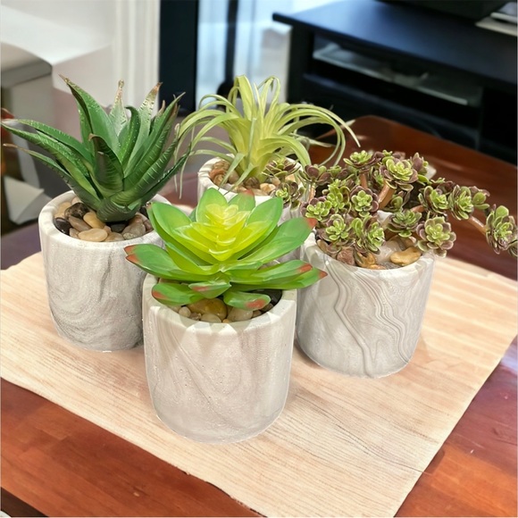 Other - NWT Set of 4 Faux Succulents